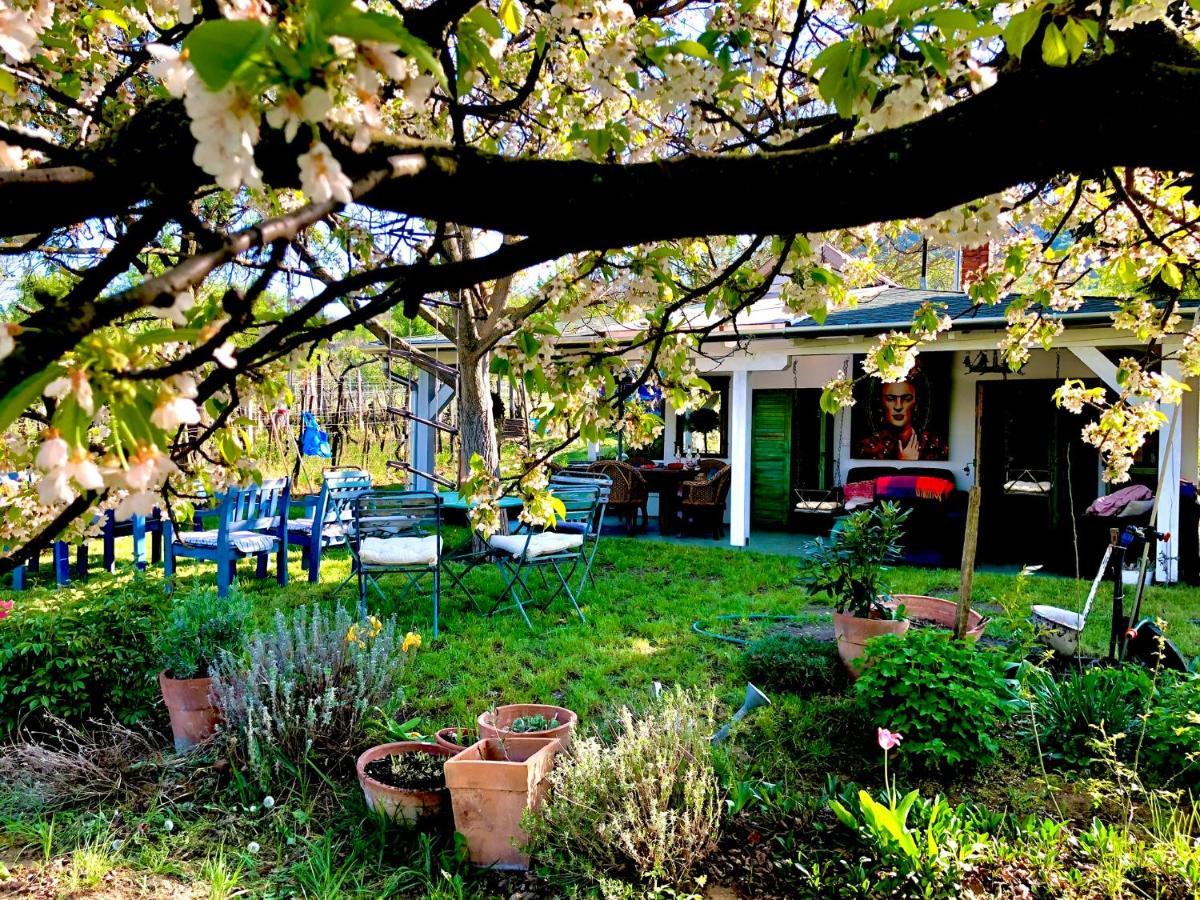 Kisapati Bohemian Eco Lodge At Lake Balaton מראה חיצוני תמונה