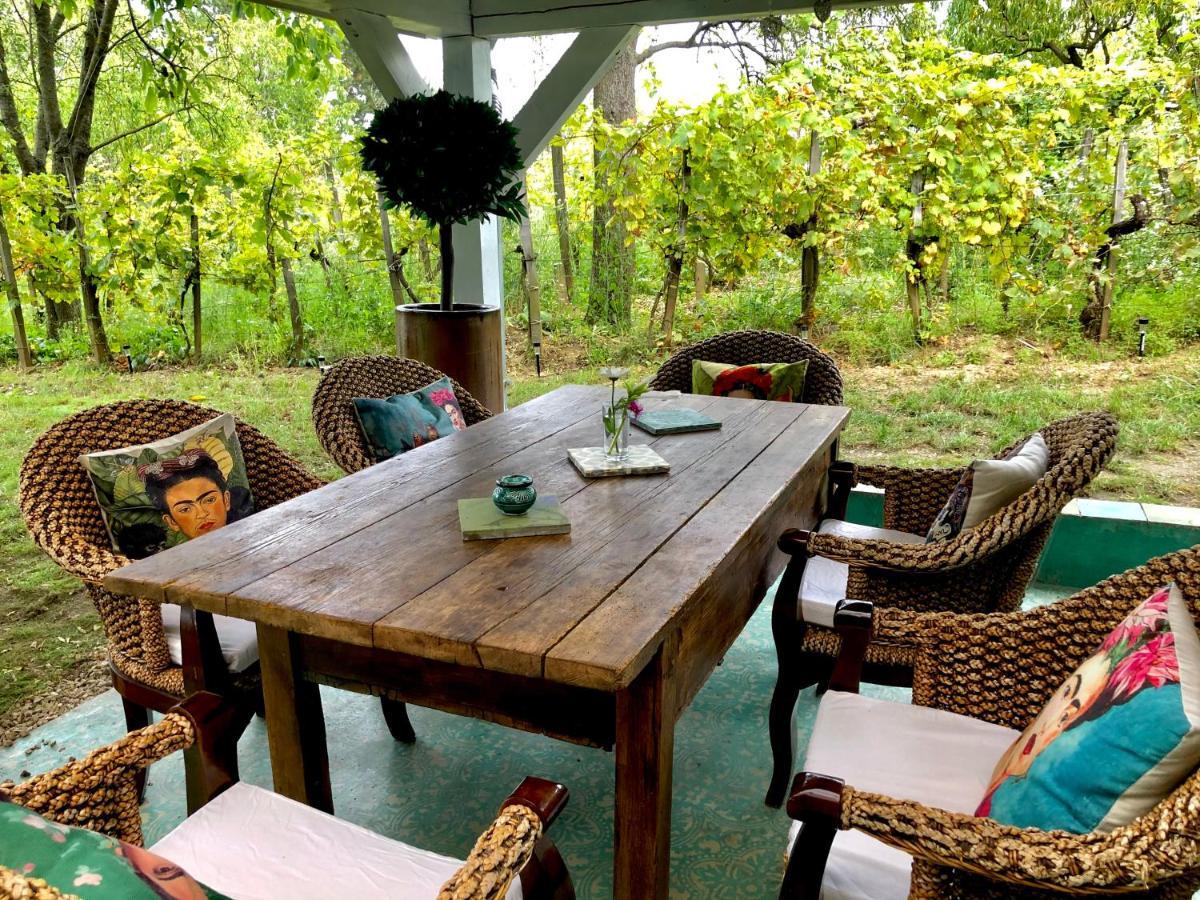 Kisapati Bohemian Eco Lodge At Lake Balaton מראה חיצוני תמונה
