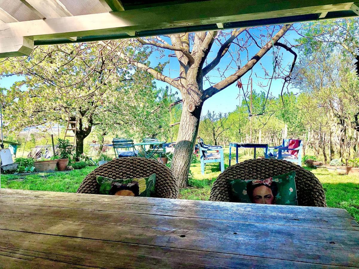Kisapati Bohemian Eco Lodge At Lake Balaton מראה חיצוני תמונה